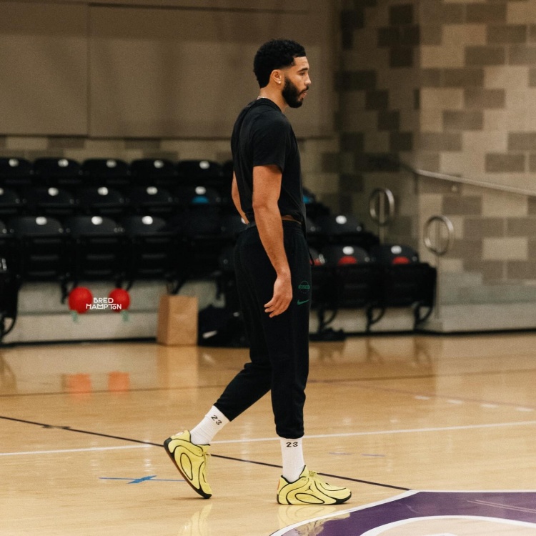 就怕兄弟太努力！塔图姆晒训练照 哈利评论：哥们你歇会吧